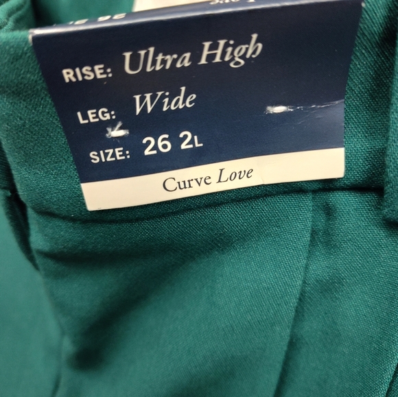 Abercrombie & Fitch Curve Love A&F Sloane Tailored Deep Green 26 2L NEW - Picture 3 of 3